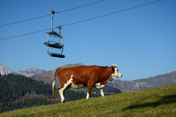 Le Refuge du Triboulin Les 3 vallées