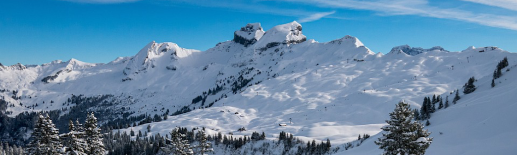 Le Refuge du Triboulin Nos anciens locataires témoignent